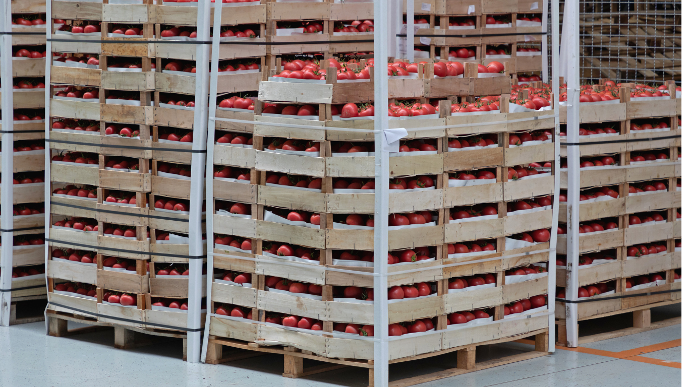 Wizualizacja palety 600x800 mm